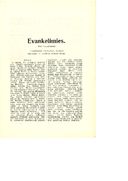 Juonikuvaus, Evankelimies